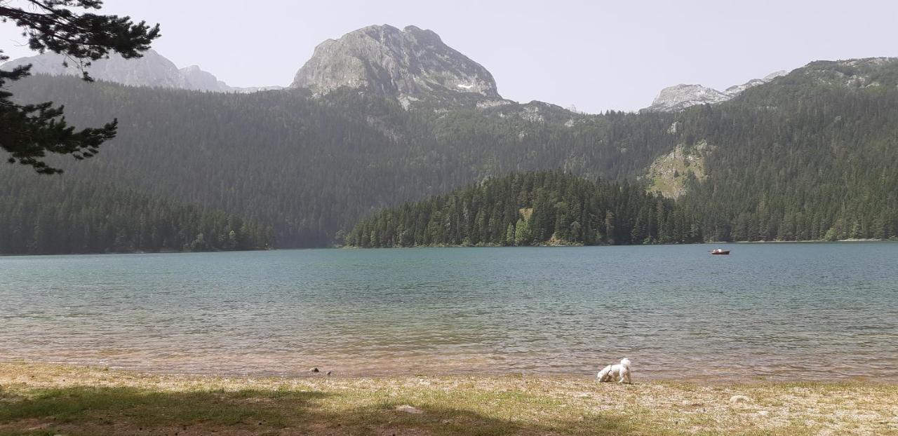 Durmitorski Konak Zabljak  Exterior photo