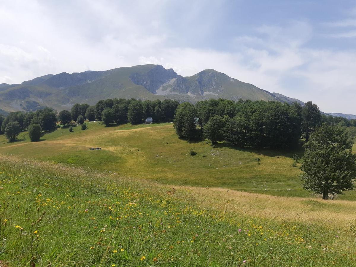 Durmitorski Konak Zabljak  Exterior photo